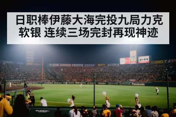 baseball stadium night game