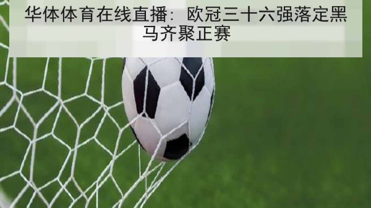 华体体育在线直播: 欧冠三十六强落定黑马齐聚正赛 华体体育在线直播: 欧冠三十六强落定黑马齐聚正赛